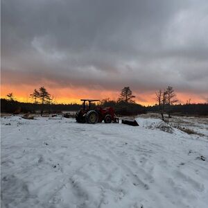 Meet your Posher, Bella